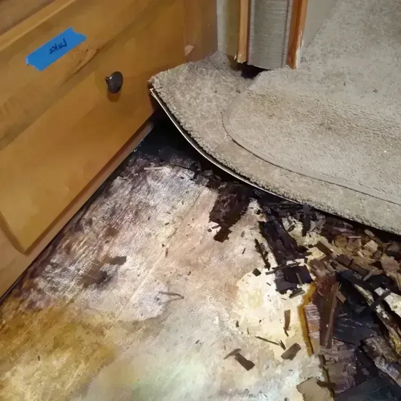 Wood Floor Water Damage in Howard, WI